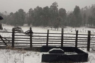 Seis estados registran nevadas por tormenta invernal