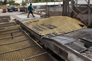 Rusia y Ucrania reanudan los embarques de grano para frenar la crisis alimentaria