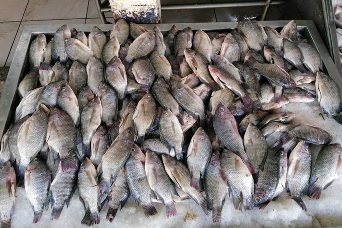 Disminuyen 70% las ventas de pescado y mariscos debido a la alza de precios