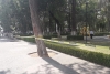 Cierra Toluca de manera temporal el Parque Cuauhtémoc-Alameda