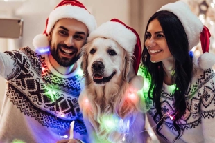 Regalos de Navidad para mascotas: checa estas 5 ideas