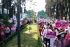 Marchan en Toluca para defender al INE