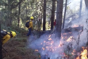 Liquidan incendio en inmediaciones del Nevado de Toluca