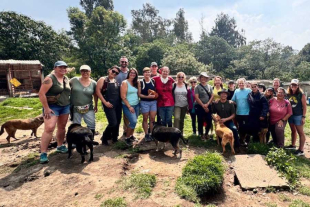 Brugada aclaró que las autoridades capitalinas no tienen interés en intervenir en el predio