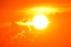 Por culpa del cambio climático, el verano de 2024 será el más caluroso de la historia
