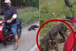 “No quería caminar”: sujeto es captado arrastrando a su perro en carretera de Tabasco