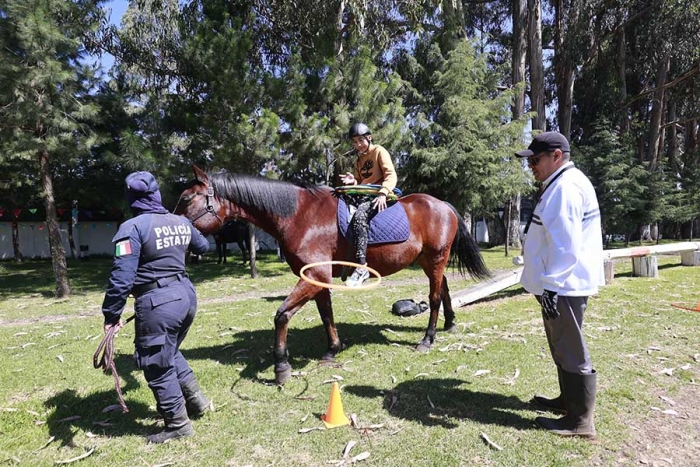 Realizan recorridos a bordo del equino al tiempo que realizan actividades psicomotoras.