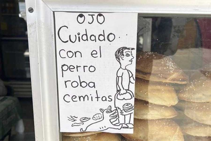 ¡Cuidado! Negocio en Puebla alerta a sus clientes sobre perrito que roba cemitas