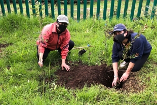 Reforestan el Calvario en Metepec