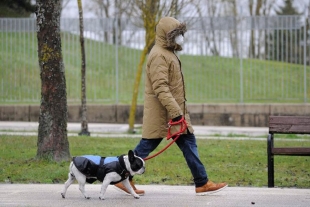 La limpieza de la mascota luego de un paseo; ¿lo haces correctamente?