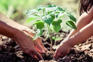 ONU declara el medio ambiente limpio como un derecho humano