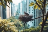 Confirmado: Las aves de ciudad son más agresivas que las del campo