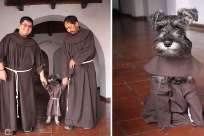 &#039;Fray Carmelito&#039;, el perro que evangeliza en Internet