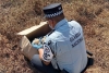 Rescatan 1,250 huevos de tortuga robados en Oaxaca