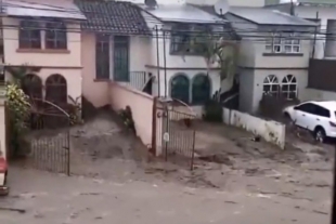 Lluvias dejan más de 200 viviendas dañadas en Veracruz