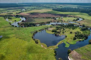 Humedales del Congo podrían liberar millones de toneladas de CO2: estudio