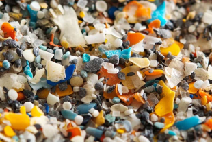 Los resultados obtenidos exponen el problema que hoy representan los microplásticos