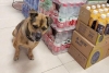 Perro aguarda por su dueño fallecido en un hospital de China