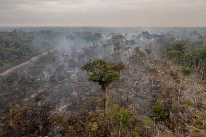 ¡Para el olvido! Incendios en la Amazonia brasileña aumentaron en el primer semestre de 2022