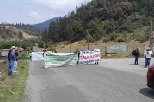 Según el Ayuntamiento Indígena, la madera extraída ilegalmente es enviada a Morelos, Ciudad de México, Santiago Tianguistenco y Ecatepec