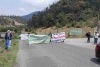Tala ilegal arrasa con bosques de Ocuilan