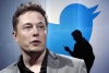 Usuarios de Twitter votan por renuncia de Elon Musk como CEO