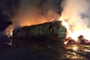 Arde inmueble de champiñones en Chapultepec