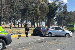 Caída de árbol causa accidente automovilístico en la carretera Toluca- Palmillas