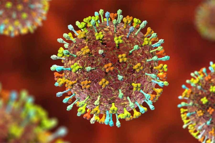 Henipavirus, el nuevo virus identificado en China