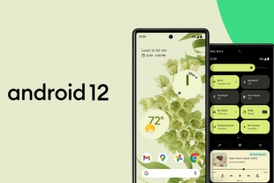 Android 12: todo lo que tienes que saber acerca de este nuevo sistema operativo