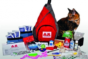 Kit de emergencia para mascotas