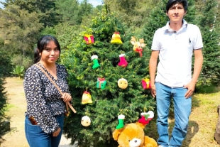 Productores de peluche de Xonacatlán, crean adornos navideños