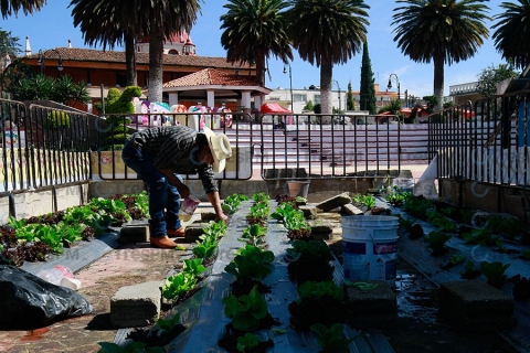 Riego de frutos y verduras con agua de lluvia