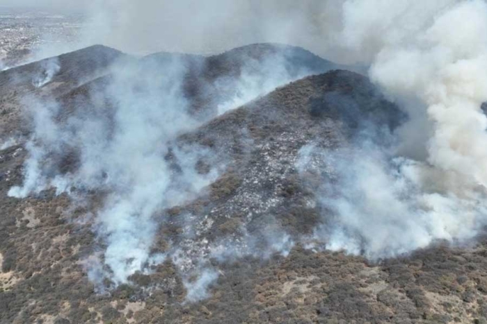 Los municipios donde se han reportado el mayor número de incendios han sido Ixtapaluca y Nicolás Romero. 