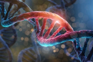 El ADN se deteriora debido a efectos cuánticos