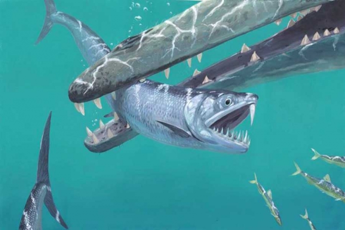 Hallan peces prehistóricos con dientes de sable