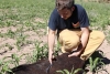 Tapetes de pelo humano, una alternativa para evitar el impacto de la sequía en Chile