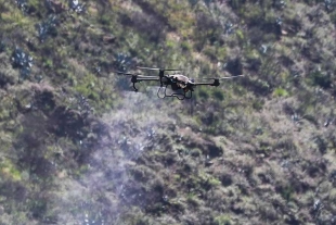 Un dron forestal cumple exitosamente su misión de sembrar 20 mil semillas de especies nativas