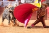 ¡Atención! Suspenden las corridas de toros en CDMX