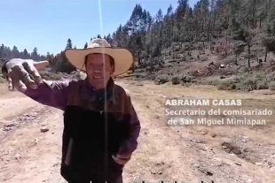 Tala ilegal acaba con la masa forestal en Edomex