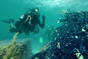 La del Océano índico abarca entre 2.1 5 millones de kilómetros