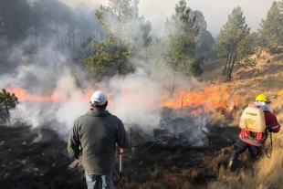 Controlan incendio en, el Nevado de Toluca; reabren el acceso