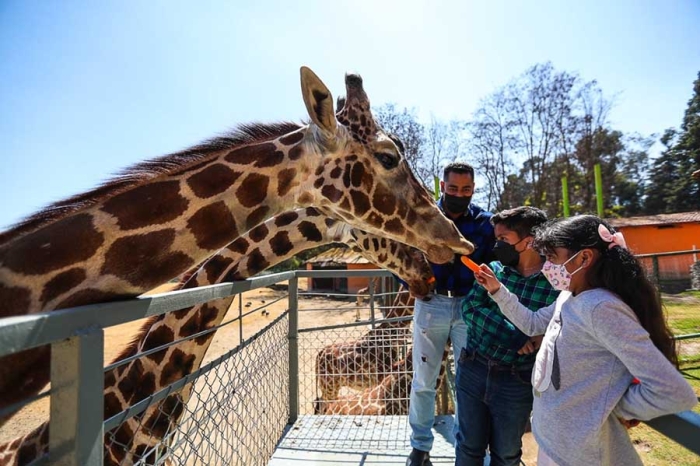 Anuncian cierre temporal del Parque Ecológico “Zacango”