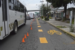 Conductores siguen invadiendo pasos peatonales, pese a operativo &quot;Cruces Seguros&quot;