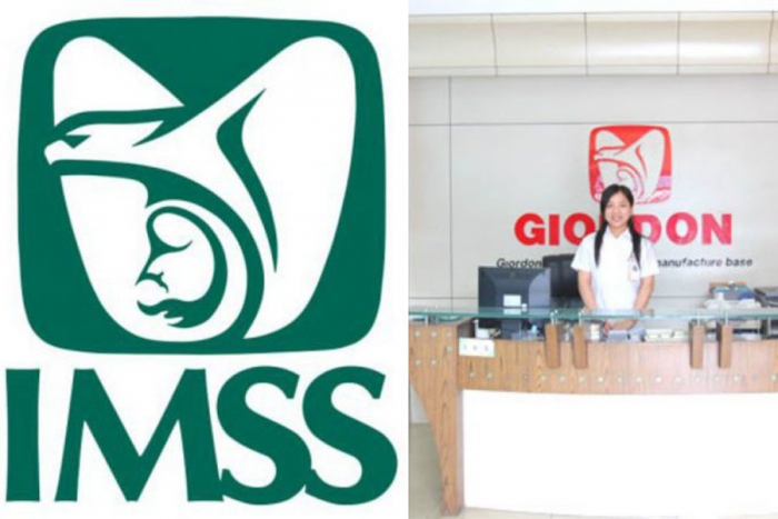 El día que plagiaron el logo del IMSS en China