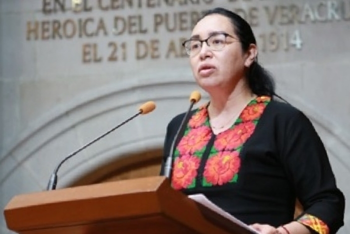 Diputada del Estado de México, Azucena Cisneros