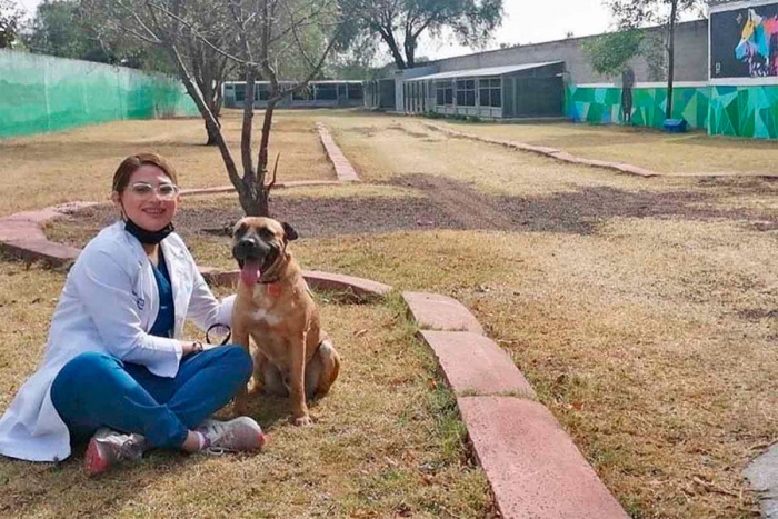 Perro rescatado en el Metro ahora será educador