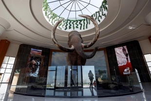 Así será el nuevo Museo del Mamut en el Aeropuerto Internacional “Felipe Ángeles”