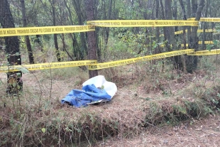 Restos humanos encontrados en narcofosa en Ocoyoacac, corresponden a 14 víctimas