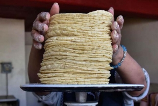 Aumenta hasta dos pesos el kilo de tortilla en el valle de Toluca